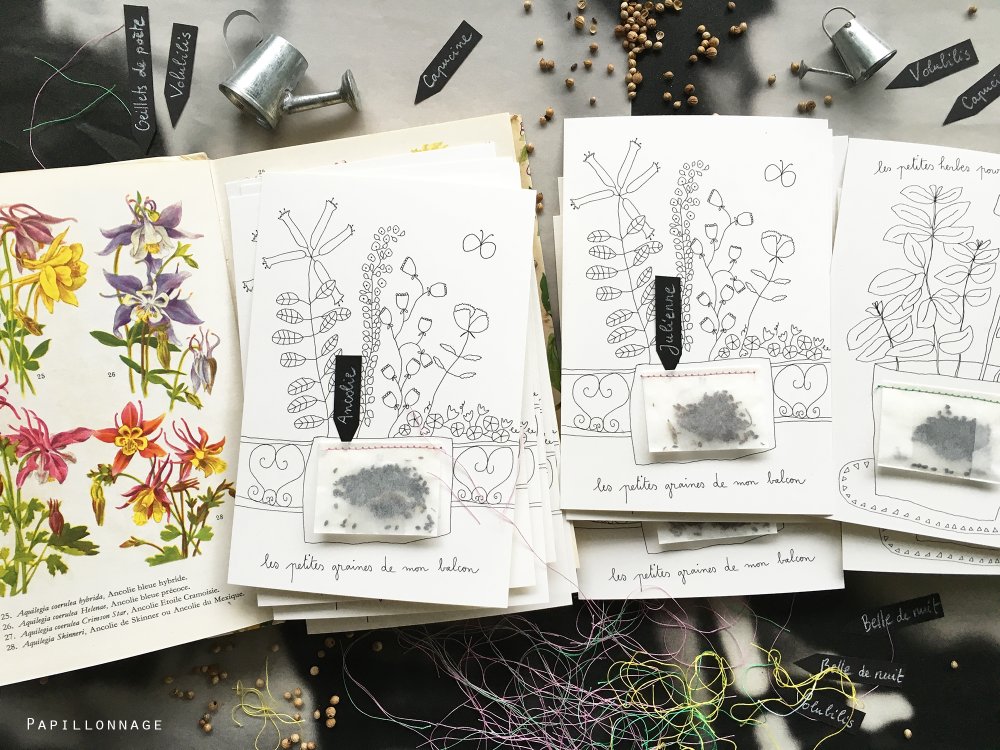 Carte à graines Basilic/ciboulette/fleurs* Papillonnage