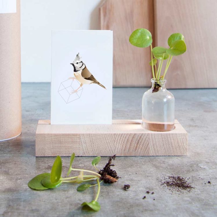 Porte-carte & vase