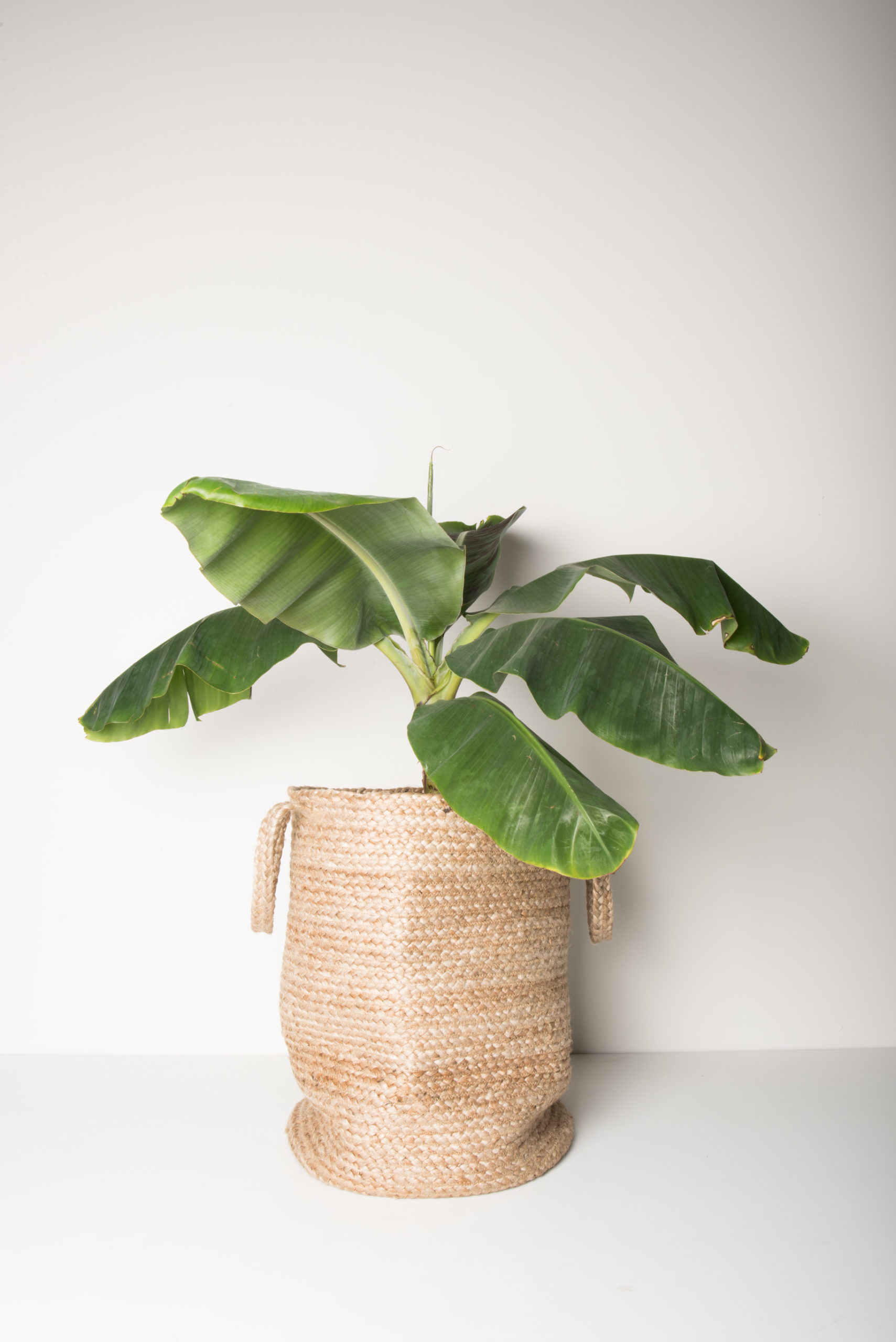 Panier flexible avec anse en jute grand format * Urban Nature Culture
